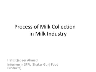 Process of Milk Collection
in Milk Industry
Hafiz Qadeer Ahmad
Internee in SFPL (Shakar Gunj Food
Products)
 