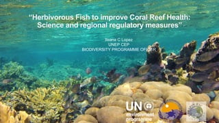11
“Herbivorous Fish to improve Coral Reef Health:
Science and regional regulatory measures”
Ileana C Lopez
UNEP CEP
BIODIVERSITY PROGRAMME OFICER
 