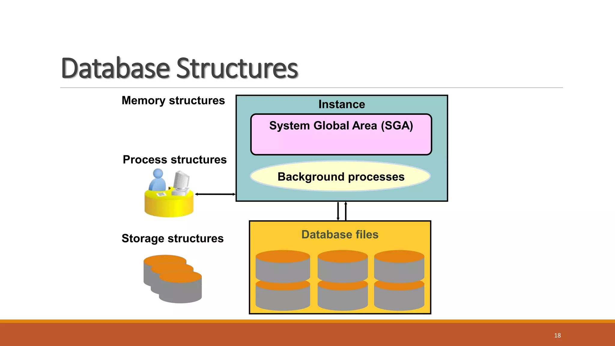Database Structures
18
Storage structures
Memory structures
Process structures
Instance
System Global Area (SGA)
Background processes
Database files
 