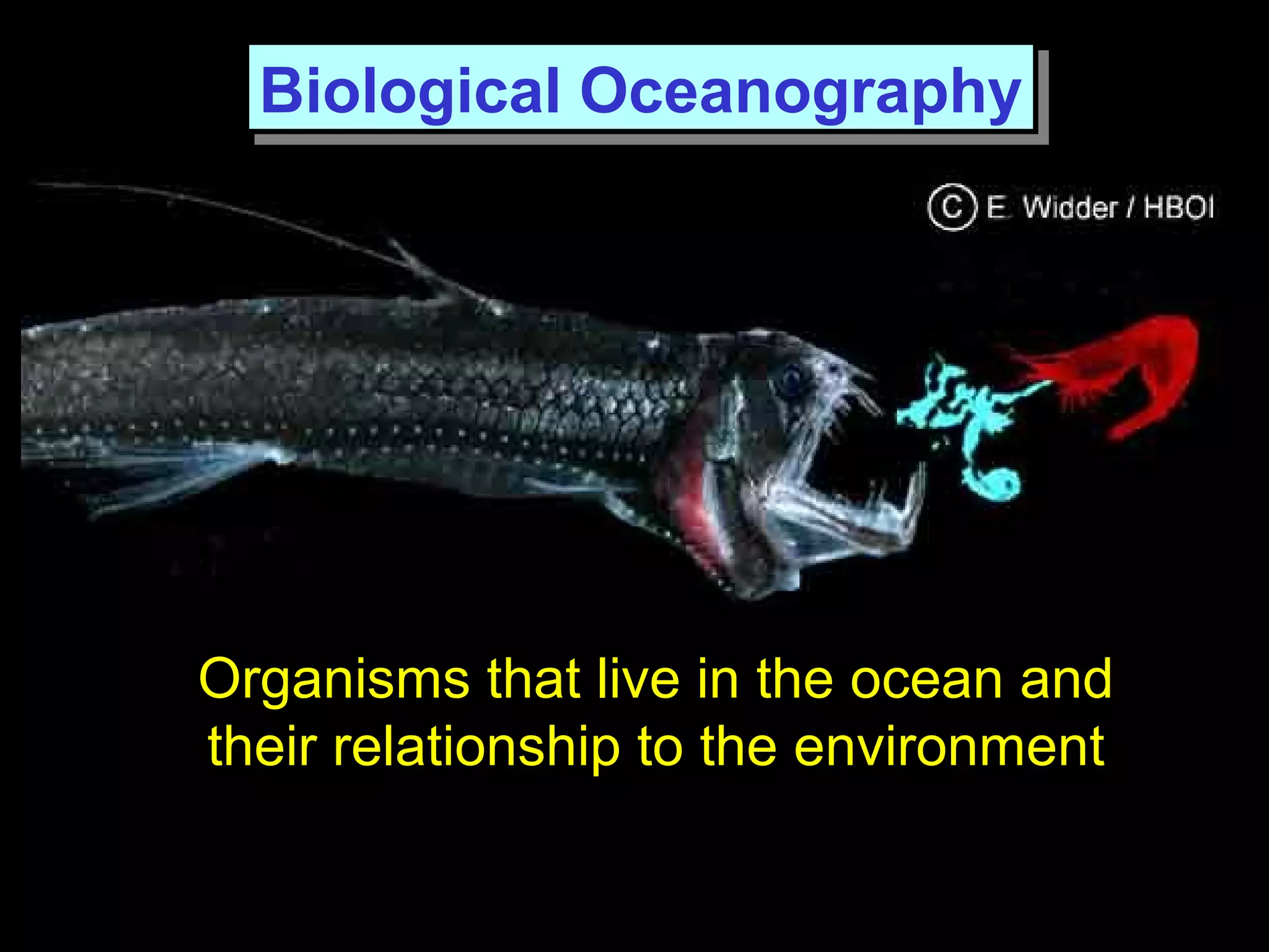 Organisms that live in the ocean and
their relationship to the environment
Biological OceanographyBiological Oceanography
 