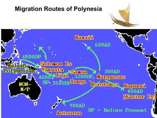 Migration Routes of Polynesia
 