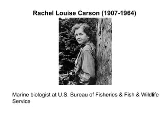 Rachel Louise Carson (1907-1964)
Marine biologist at U.S. Bureau of Fisheries & Fish & Wildlife
Service
 
