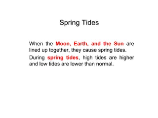 Spring Tides
When the Moon, Earth, and the Sun are
lined up together, they cause spring tides.
During spring tides, high tides are higher
and low tides are lower than normal.
 