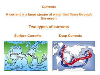 Currents
A current is a large stream of water that flows through
the ocean
Two types of currents
Surface Currents Deep Currents
 