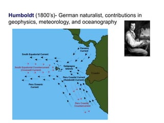 Humboldt (1800’s)- German naturalist, contributions in
geophysics, meteorology, and oceanography
 