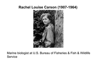 Rachel Louise Carson (1907-1964)
Marine biologist at U.S. Bureau of Fisheries & Fish & Wildlife
Service
 