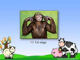 Un singe
 