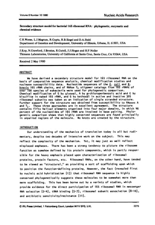 Volume 8 Number 10 1980 Nucleic Acids Research
Secondary structure model for bacterial 16S ribosomal RNA: phylogenetic, enzymatic and
chemical evidence
C.R.Woese, L.J.Magrun, R.Gupta, R.B.Siegel and D.A.Stahl
Department of Genetics and Development, University of Illinois, Urbana, IL 61801, USA
J.Kop, N.Crawford, J.Brosius, R.Gutell, J.J.Hogan and H.F.Noller
Thimann Laboratories, University of California at Santa Cruz, Santa Cruz, CA 95064, USA
Received 2 May 1980
ABSTRACT
We have derived a secondary structure model for 16S ribosomal RNA on the
basis of comparativ'e sequence analysis, chemical modification studies and
nuclease susceptibility data. Nucleotide sequences of the E. coli and B.
brevis 16S rRNA chains, and of RNAse T1 oligomer catalogs from 16S rRNAs of
over l1O species of eubacteria were used for phylogenetic comparison.
Chemical modification of G by glyoxal, A by m-chloroperbenzoic acid and C by
bisulfite in naked 16S rRNA, and G by kethoxal in active and inactive 30S
ribosomal subunits was taken as an indication of single stranded structure.
Further support for the structure was obtained from susceptibility to RNases A
and TI. These three approaches are in excellent agreement. The structure
contains fifty helical elements organized into four major domains, in which 46
percent of the nucleotides of 16S rRNA are involved in base pairing. Phylo-
genetic comparison shows that highly conserved sequences are found principally
in unpaired regions of the molecule. No knots are created by the structure.
I NTRODUCT I ON
Our understanding of the mechanics of translation today is all but rudi-
mentary, despite two decades of intensive work on the subject. This may
reflect the complexity of the mechanism. Yet, it may just as well reflect
misplaced emphases. There has been a strong tendency to picture the ribosome
function as somehow defined by its protein components, which is partly respon-
sible for the heavy emphasis placed upon characterization of ribosomal
proteins, protein factors, etc. Ribosomal RNAs, on the other hand, have tended
to be viewed as "structural," as providing a sort of scaffolding upon which
to position the function-defining proteins. However, the fact (revealed first
by nucleic acid hybridization [l]) that ribosomal RNA sequence is highly
conserved phylogenetically suggests these molecules to be somewhat more than
mere scaffolding. This has been borne out by a variety of studies, which
provide evidence for the direct participation of 165 ribosomal RNA in messenger
RNA selection [2-4], tRNA binding [5-7], ribosomal subunit association [8-10],
and antibiotic sensitivity/resistance [11].
©) IRL Press Umited, 1 Falconberg Court, London W1V 5FG, U.K. 2275
 