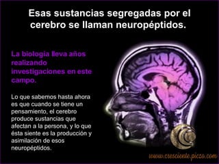 Esas sustancias segregadas por el cerebro se llaman neuropéptidos.  La biología lleva años realizando investigaciones en este campo.  Lo que sabemos hasta ahora es que cuando se tiene un pensamiento, el cerebro produce sustancias que afectan a la persona, y lo que ésta siente es la producción y asimilación de esos neuropéptidos.  