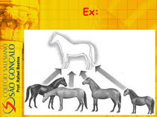 Prof.RafaelBastos
Ex:
 