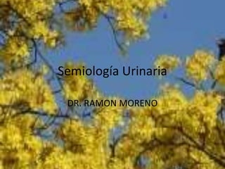Semiología Urinaria
DR. RAMON MORENO
 