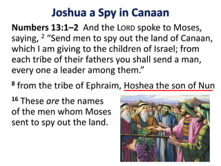 Numbers 13:1–2 And the LORD spoke to Moses,
saying, 2 “Send men to spy out the land of Canaan,
which I am giving to the children of Israel; from
each tribe of their fathers you shall send a man,
every one a leader among them.”
8 from the tribe of Ephraim, Hoshea the son of Nun
Joshua a Spy in Canaan
16 These are the names
of the men whom Moses
sent to spy out the land.
 