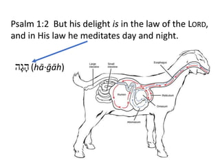 Psalm 1:2 But his delight is in the law of the LORD,
and in His law he meditates day and night.
‫ָה‬‫ג‬ָ‫ה‬ (hā·ḡāh)
 