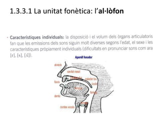 1.3.3.1 La unitat fonètica: l’al·lòfon
 