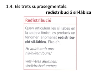 1.4. Els trets suprasegmentals:
redistribució sil·làbica
 
