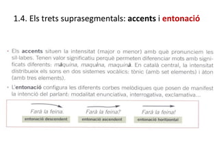 1.4. Els trets suprasegmentals: accents i entonació
 