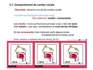 3.2. Mode d’articulació Segons com es produeix l'obstrucció en sortir
l'aire classificam els sons en:
- Oclusius: obstrucc...