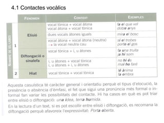 5.1 Contactes Consonàntics
 