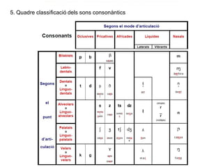 Clica el gràfic següent i descobreix les característiques
dels fonemes de la llengua catalana
Atenció
En la cadena fònica ...