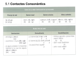 Feu la transcripció fonètica d’aquests sintagmes:
Fa un fred congelant
____________________________________
Als afores del...