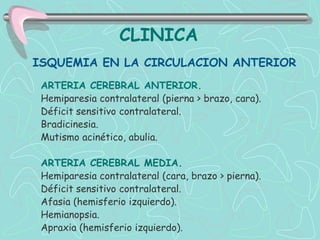 CLINICA
ISQUEMIA EN LA CIRCULACION ANTERIOR
 ARTERIA CEREBRAL ANTERIOR.
 Hemiparesia contralateral (pierna > brazo, cara).
 Déficit sensitivo contralateral.
 Bradicinesia.
 Mutismo acinético, abulia.

 ARTERIA CEREBRAL MEDIA.
 Hemiparesia contralateral (cara, brazo > pierna).
 Déficit sensitivo contralateral.
 Afasia (hemisferio izquierdo).
 Hemianopsia.
 Apraxia (hemisferio izquierdo).
 