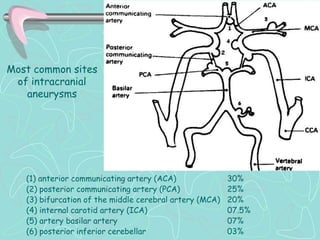 Most common sites
 of intracranial
   aneurysms




   (1) anterior communicating artery (ACA)               30%
   (2) posterior communicating artery (PCA)              25%
   (3) bifurcation of the middle cerebral artery (MCA)   20%
   (4) internal carotid artery (ICA)                     07.5%
   (5) artery basilar artery                             07%
   (6) posterior inferior cerebellar                     03%
 