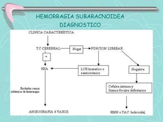 HEMORRAGIA SUBARACNOIDEA
      DIAGNOSTICO
 