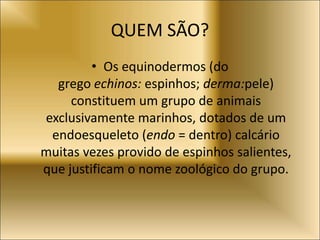QUEM SÃO?
• Os equinodermos (do
grego echinos: espinhos; derma:pele)
constituem um grupo de animais
exclusivamente marinhos, dotados de um
endoesqueleto (endo = dentro) calcário
muitas vezes provido de espinhos salientes,
que justificam o nome zoológico do grupo.
 