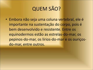QUEM SÃO?
• Embora não seja uma coluna vertebral, ele é
importante na sustentação do corpo, pois é
bem desenvolvido e resistente. Entre os
equinodermos estão as estrelas-do-mar, os
pepinos-do-mar, os lírios-do-mar e os ouriços-
do-mar, entre outros.
 