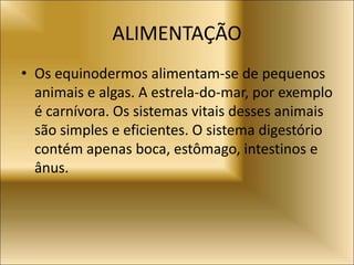 ALIMENTAÇÃO
• Os equinodermos alimentam-se de pequenos
animais e algas. A estrela-do-mar, por exemplo
é carnívora. Os sistemas vitais desses animais
são simples e eficientes. O sistema digestório
contém apenas boca, estômago, intestinos e
ânus.
 