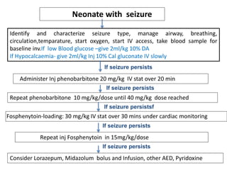 seminar on neonatal seizure | PPT