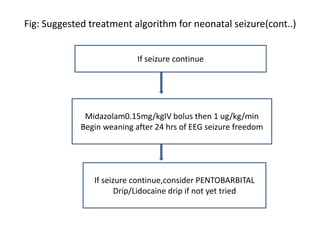 seminar on neonatal seizure | PPT