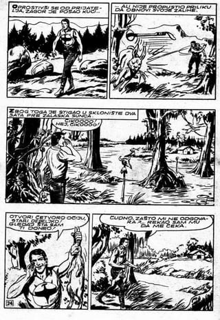 0017. Morske Hijene