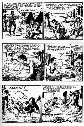 0017. Morske Hijene