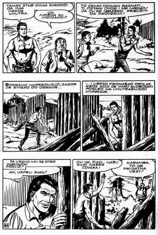 0017. Morske Hijene