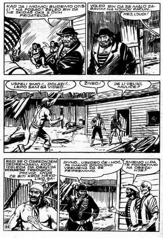 0017. Morske Hijene