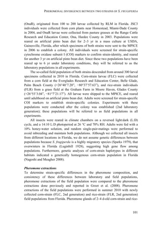 PHEROMONAL DIVERGENCE BETWEEN TWO STRAINS OF S. FRUGIPERDA
101
(OnaR), originated from 100 to 200 larvae collected by RLM in Florida. JSC3
individuals were collected from corn plants near Homestead, Miami-Dade County
in 2004, and OnaR larvae were collected from pasture grasses at the Range Cattle
Research and Education Center, Ona, Hardee County in 2003. Populations were
reared on artificial pinto bean diet for 2–3 yr in a mass culture at USDA,
Gainesville, Florida, after which specimens of both strains were sent to the MPICE
in 2006 to establish a colony. All individuals were screened for strain-specific
cytochrome oxidase subunit I (COI) markers to confirm strain-identity, and reared
for another 3 yr on artificial pinto bean diet. Since these two populations have been
reared up to 6 yr under laboratory conditions, they will be referred to as the
laboratory populations in all experiments.
The so-called field population of both strains descended from around 300 larval
specimens collected in 2010 in Florida. Corn-strain larvae (FLC) were collected
from a corn field at the Everglades Research and Education Center, Belle Glade,
Palm Beach County (+26°40’7.20”, −80°37’57.63”), and rice-strain individuals
(FLR) from a grass field at the Graham Farm in Moore Haven, Glades County
(+26°53’3.04”, −81°7’21.17”). All larvae were shipped to the MPICE, and reared
until adulthood on artificial pinto bean diet. Adults were screened for strain-specific
COI markers to establish strain-specific colonies. Experiments with these
populations were conducted after the colony was established (2nd laboratory
generation); these populations will be referred to as field populations in all
experiments.
All insects were reared in climate chambers on a reversed light:dark (L:D)
cycle, and a 14:10 L:D photoperiod at 26 °C and 70% RH. Adults were fed with a
10% honey-water solution, and random single-pair-matings were performed to
avoid inbreeding and maintain both populations. Although we collected all insects
from different locations in Florida, we do not assume genetic differences between
populations because S. frugiperda is a highly migratory species (Sparks 1979), that
overwinters in Florida (Luginbill 1928), suggesting high gene flow among
populations. Furthermore, genetic analyses of corn-strain haplotypes in different
habitats indicated a genetically homogenous corn-strain population in Florida
(Nagoshi and Meagher 2008).
Pheromone extractions
To determine strain-specific differences in the pheromone composition, and
consistency of these differences between laboratory and field populations,
pheromone extractions of the field population were compared to the pheromone
extractions done previously and reported in Groot et al. (2008). Pheromone
extractions of the field populations were performed in summer 2010 with newly
collected corn-strain (FLC, 2nd generation) and rice-strain (FLR, 2nd generation)
field populations from Florida. Pheromone glands of 2–4 d-old corn-strain and rice-
 