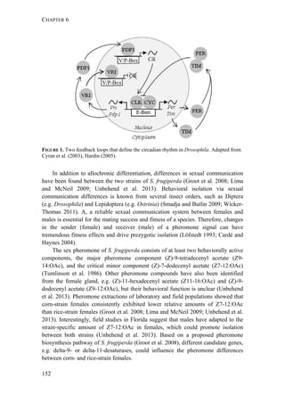 CHAPTER 6
152
FIGURE 1. Two feedback loops that define the circadian rhythm in Drosophila. Adapted from
Cyran et al. (2003), Hardin (2005).
In addition to allochronic differentiation, differences in sexual communication
have been found between the two strains of S. frugiperda (Groot et al. 2008; Lima
and McNeil 2009; Unbehend et al. 2013). Behavioral isolation via sexual
communication differences is known from several insect orders, such as Diptera
(e.g. Drosophila) and Lepidoptera (e.g. Ostrinia) (Smadja and Butlin 2009; Wicker-
Thomas 2011). A, a reliable sexual communication system between females and
males is essential for the mating success and fitness of a species. Therefore, changes
in the sender (female) and receiver (male) of a pheromone signal can have
tremendous fitness effects and drive prezygotic isolation (Löfstedt 1993; Cardé and
Haynes 2004).
The sex pheromone of S. frugiperda consists of at least two behaviorally active
components, the major pheromone component (Z)-9-tetradecenyl acetate (Z9-
14:OAc), and the critical minor component (Z)-7-dodecenyl acetate (Z7-12:OAc)
(Tumlinson et al. 1986). Other pheromone compounds have also been identified
from the female gland, e.g. (Z)-11-hexadecenyl acetate (Z11-16:OAc) and (Z)-9-
dodecenyl acetate (Z9-12:OAc), but their behavioral function is unclear (Unbehend
et al. 2013). Pheromone extractions of laboratory and field populations showed that
corn-strain females consistently exhibited lower relative amounts of Z7-12:OAc
than rice-strain females (Groot et al. 2008; Lima and McNeil 2009; Unbehend et al.
2013). Interestingly, field studies in Florida suggest that males have adapted to the
strain-specific amount of Z7-12:OAc in females, which could promote isolation
between both strains (Unbehend et al. 2013). Based on a proposed pheromone
biosynthesis pathway of S. frugiperda (Groot et al. 2008), different candidate genes,
e.g. delta-9- or delta-11-desaturases, could influence the pheromone differences
between corn- and rice-strain females.
 