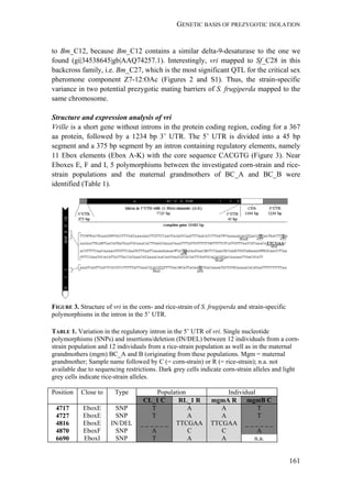 GENETIC BASIS OF PREZYGOTIC ISOLATION
161
to Bm_C12, because Bm_C12 contains a similar delta-9-desaturase to the one we
found (gi|34538645|gb|AAQ74257.1). Interestingly, vri mapped to Sf_C28 in this
backcross family, i.e. Bm_C27, which is the most significant QTL for the critical sex
pheromone component Z7-12:OAc (Figures 2 and S1). Thus, the strain-specific
variance in two potential prezygotic mating barriers of S. frugiperda mapped to the
same chromosome.
Structure and expression analysis of vri
Vrille is a short gene without introns in the protein coding region, coding for a 367
aa protein, followed by a 1234 bp 3’ UTR. The 5’ UTR is divided into a 45 bp
segment and a 375 bp segment by an intron containing regulatory elements, namely
11 Ebox elements (Ebox A-K) with the core sequence CACGTG (Figure 3). Near
Eboxes E, F and I, 5 polymorphisms between the investigated corn-strain and rice-
strain populations and the maternal grandmothers of BC_A and BC_B were
identified (Table 1).
FIGURE 3. Structure of vri in the corn- and rice-strain of S. frugiperda and strain-specific
polymorphisms in the intron in the 5’ UTR.
TABLE 1. Variation in the regulatory intron in the 5’ UTR of vri. Single nucleotide
polymorphisms (SNPs) and insertions/deletion (IN/DEL) between 12 individuals from a corn-
strain population and 12 individuals from a rice-strain population as well as in the maternal
grandmothers (mgm) BC_A and B (originating from these populations. Mgm = maternal
grandmother; Sample name followed by C (= corn-strain) or R (= rice-strain); n.a. not
available due to sequencing restrictions. Dark grey cells indicate corn-strain alleles and light
grey cells indicate rice-strain alleles.
Position Close to Type Population Individual
CL_1 C RL_1 R mgmA R mgmB C
4717 EboxE SNP T A A T
4727 EboxE SNP T A A T
4816 EboxE IN/DEL _ _ _ _ _ _ TTCGAA TTCGAA _ _ _ _ _ _
4870 EboxF SNP A C C A
6690 EboxI SNP T A A n.a.
 