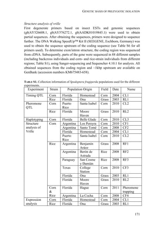 GENETIC BASIS OF PREZYGOTIC ISOLATION
171
Structure analysis of vrille
First degenerate primers based on insect ESTs and genomic sequences
(gb|AY526608.1, gb|AY576272.1, gb|AADK01019845.1) were used to obtain
partial sequences. After obtaining the sequences, primers were designed to sequence
further. The DNA Walking SpeedUp™ Kit II (SEEGENE, Eschborn, Germany) was
used to obtain the sequence upstream of the coding sequence (see Table S6 for all
primers used). To determine exon/intron structure, the coding region was sequenced
from cDNA. Subsequently, parts of the gene were sequenced in 88 different samples
(including backcross individuals and corn- and rice-strain individuals from different
regions; Table S1), using Sanger-sequencing and Sequencher 4.10.1 for analysis. All
obtained sequences from the coding region and ~1kbp upstream are available on
GenBank (accession numbers KM675483-658).
TABLE S1. Collection information of Spodoptera frugiperda populations used for the different
experiments.
Experiment Strain Population Origin Field Date Name
Timing QTL Corn Florida Homestead Corn 2004 CL1
Rice Florida Ona Grass 2003 RL1
Pheromone
QTL
Corn Puerto
Rico
Santa Isabel Corn 2010 CL2
Rice Florida Moore
Haven
Grass 2010 RL2
Haplotyping Corn Florida Belle Glade Corn 2010 CL3
Structure
analysis of
Vrille
Corn Argentina Los Pereyra Corn 2010 CF1
Argentina Santo Tomé Corn 2008 CF2
Florida Homestead Corn 2004 CL1
Puerto
Rico
Santa Isabel Corn 2010 CL2
Rice Argentina Benjamín
Aráoz
Grass 2008 RF1
Argentina Berón de
Astrada
Rice 2008 RF2
Paraguay San Cosme
y Damián
Rice 2008 RF3
Texas College
Station
Corn 2010 CF3
Florida Ona Grass 2003 RL1
Florida Moore
Haven
Grass 2010 RL2
Corn
&
Rice
Florida Hague Corn 2011 Pheromone
trapping
Argentina La Cocha Corn 2008 CF4
Expression
analysis
Corn Florida Homestead Corn 2004 CL1
Rice Florida Ona Grass 2003 RL1
 