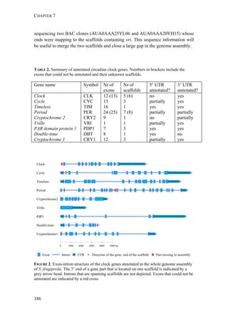 CHAPTER 7
186
sequencing two BAC clones (AUA0AAA25YL06 and AUA0AAA20YH15) whose
ends were mapping to the scaffolds containing vri. This sequence information will
be useful to merge the two scaffolds and close a large gap in the genome assembly.
TABLE 2. Summary of annotated circadian clock genes. Numbers in brackets include the
exons that could not be annotated and their unknown scaffolds.
Gene name Symbol Nr of
exons
Nr of
scaffolds
5’ UTR
annotated?
3’ UTR
annotated?
Clock CLK 12 (13) 5 (6) no yes
Cycle CYC 13 3 partially yes
Timeless TIM 16 1 yes yes
Period PER 24 (25) 7 (8) partially partially
Cryptochrome 2 CRY2 9 1 no partially
Vrille VRI 1 1 partially yes
PAR domain protein 1 PDP1 7 3 yes yes
Double-time DBT 8 1 yes no
Cryptochrome 1 CRY1 12 3 partially yes
FIGURE 2. Exon-intron structure of the clock genes annotated in the whole genome assembly
of S. frugiperda. The 3’ end of a gene part that is located on one scaffold is indicated by a
grey arrow head. Introns that are spanning scaffolds are not depicted. Exons that could not be
annotated are indicated by a red cross.
Timeless
Vrille
Double-time
Cryptochrome2
Cryptochrome1
Period
0 1000 2000 3000 4000 5000 bp
PdP1
Cycle
Clock
Exon Intron UTR Direction of the gene, end of the scaffold Part missing in assembly
 