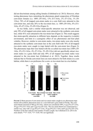 EVOLUTION OF REPRODUCTIVE ISOLATION OF S. FRUGIPERDA
199
did not discriminate among calling females (Unbehend et al. 2013). However, when
testing pheromone lures mimicking the pheromone gland composition of Floridian
corn-strain females (i.e. 100% Z9-14Ac, 13% Z11-16Ac, 2% Z7-12Ac, 1% Z9-
12Ac), 74% of all trapped corn-strain males in a corn field were attracted to this
corn-strain lure, and only 26% to the rice-strain lure, i.e. 100% Z9-14Ac, 8% Z11-
16Ac, 4% Z7-12Ac, 2% Z9-12Ac (Figure 2).
In rice fields, such a similar strain-specific attraction was not observed, and
only 59% of all trapped corn-strain males were attracted to the synthetic corn-strain
lure, while 41% were attracted to the rice-strain lure (Figure 2). This result suggests
that strain-specific attraction to different lures depends on the respective (volatile)
environment, and hints to a synergistic effect of sex pheromones and host plant
volatiles. However, similar to corn-strain males, rice-strain males were also mostly
attracted to the synthetic corn-strain lure in the corn field with 76% of all trapped
rice-strain males were caught in traps baited with the corn-strain lure (Figure 2).
The pheromone traps that were baited with the so-called rice-strain lure (100% Z9-
14Ac, 8% Z11-16Ac, 4% Z7-12Ac, 2% Z9-12Ac) did not specifically attract rice-
strain males in a grass field and only 49% of all trapped rice-strain males were
attracted to the rice-strain lure (Unbehend et al. 2013). Together, these results
indicate that in Florida corn-strain lures are most attractive for both strains in a corn
habitat, while there is no preference for a corn- or rice-strain lure in a rice habitat.
FIGURE 2. Mean percent of corn-strain and rice-strain males caught in sex pheromone traps
baited with synthetic pheromone lures in a corn field and a grass field in Florida. The corn-
strain blend consisted of 300 µg Z9-14Ac, which was considered 100%, 6 µg (2%) Z7-12Ac,
39 µg (13%) Z11-16Ac and 3 µg (1%) Z9-12Ac. The rice-strain blend was constructed in a
similar way, only with 12 µg (4%) Z7-12Ac, 24 µg (8%) Z11-16Ac and 6 µg (2%) Z9-12Ac.
Numbers in the bars indicate total number of males caught. See Unbehend et al. (2013) for
more details. ** P < 0.01; * P < 0.05; NS: not significant.
 