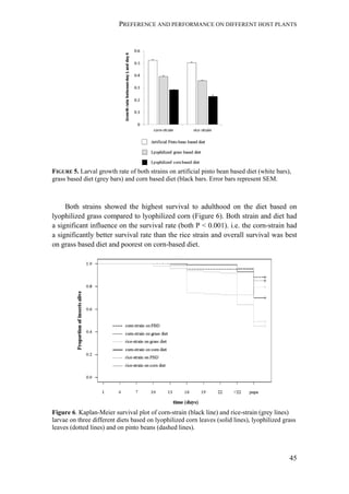 PREFERENCE AND PERFORMANCE ON DIFFERENT HOST PLANTS
45
FIGURE 5. Larval growth rate of both strains on artificial pinto bean based diet (white bars),
grass based diet (grey bars) and corn based diet (black bars. Error bars represent SEM.
Both strains showed the highest survival to adulthood on the diet based on
lyophilized grass compared to lyophilized corn (Figure 6). Both strain and diet had
a significant influence on the survival rate (both P < 0.001). i.e. the corn-strain had
a significantly better survival rate than the rice strain and overall survival was best
on grass based diet and poorest on corn-based diet.
Figure 6. Kaplan-Meier survival plot of corn-strain (black line) and rice-strain (grey lines)
larvae on three different diets based on lyophilized corn leaves (solid lines), lyophilized grass
leaves (dotted lines) and on pinto beans (dashed lines).
 