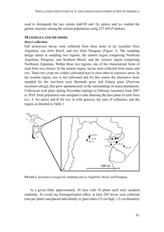 POPULATION STRUCTURE OF S. FRUGIPERDA HOST FORMS IN SOUTH AMERICA
61
used to distinguish the two strains (mtCOI and Tpi genes) and we studied the
genetic structure among the various populations using 227 AFLP markers.
MATERIALS AND METHODS
Insect collection
Fall armyworm larvae were collected from three hosts at six localities from
Argentina, one from Brazil, and two from Paraguay (Figure 1). The sampling
design aimed at sampling two regions: the eastern region comprising Northeast
Argentina, Paraguay, and Southern Brazil, and the western region comprising
Northwest Argentina. Within these two regions, one of the characteristic hosts of
each form was chosen. In the eastern region, larvae were collected from maize and
rice. These two crops are widely cultivated next to each other in extensive areas. In
the western region, rice is not cultivated and for this reason the alternative hosts
sampled for the rice-form were Bermuda grass and Guinea grass [Panicum
maximum (Jacq)], that grow spontaneously in the surroundings of maize plantations.
Collections took place during November (spring) to February (summer) from 2007
to 2010. Each population was assigned a code denoting the host plant of each form
(i.e., C for maize and R for rice or wild grasses), the year of collection, and the
region, as detailed in Table 1.
FIGURE 1. Spodoptera frugiperda sampling sites in Argentina, Brazil, and Paraguay.
In a given field, approximately 30 sites with 10 plants each were sampled
randomly. To avoid any homogenization effect, at least 250 larvae were collected
(one per plant) and placed individually in glass tubes (12 cm high, 1.5 cm diameter)
 