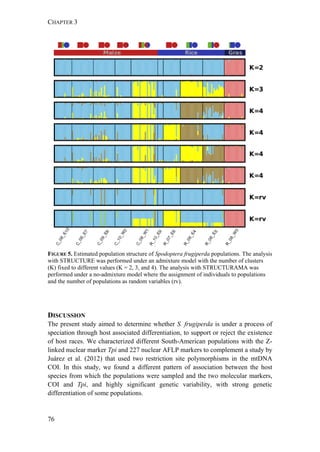 CHAPTER 3
76
FIGURE 5. Estimated population structure of Spodoptera frugiperda populations. The analysis
with STRUCTURE was performed under an admixture model with the number of clusters
(K) fixed to different values (K = 2, 3, and 4). The analysis with STRUCTURAMA was
performed under a no-admixture model where the assignment of individuals to populations
and the number of populations as random variables (rv).
DISCUSSION
The present study aimed to determine whether S. frugiperda is under a process of
speciation through host associated differentiation, to support or reject the existence
of host races. We characterized different South-American populations with the Z-
linked nuclear marker Tpi and 227 nuclear AFLP markers to complement a study by
Juárez et al. (2012) that used two restriction site polymorphisms in the mtDNA
COI. In this study, we found a different pattern of association between the host
species from which the populations were sampled and the two molecular markers,
COI and Tpi, and highly significant genetic variability, with strong genetic
differentiation of some populations.
 