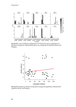 CHAPTER 3
86
FIGURE S2. Count of different configurations of COI and Tpi types in populations of
Spodoptera frugiperda collected from maize, rice, and grasses in Argentina, Brazil, and
Paraguay.
FIGURE S3. Isolation by distance for Spodoptera frugiperda populations collected from
Argentina, Brazil, and Paraguay.
 