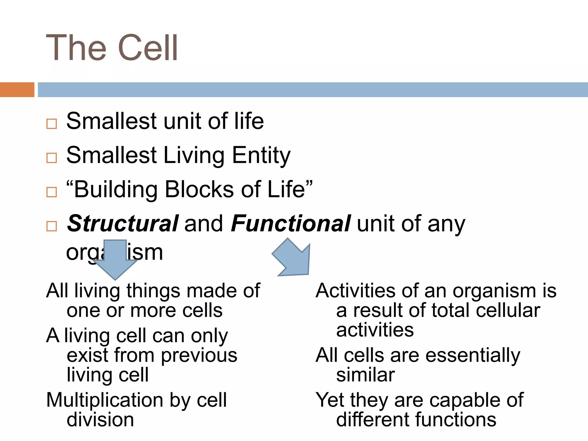 The Cell
   Smallest unit of life
   Smallest Living Entity
   “Building Blocks of Life”
   Structural and Functional unit of any
    organism
All living things made of   Activities of an organism is
   one or more cells           a result of total cellular
A living cell can only         activities
   exist from previous      All cells are essentially
   living cell                 similar
Multiplication by cell      Yet they are capable of
   division                    different functions
 