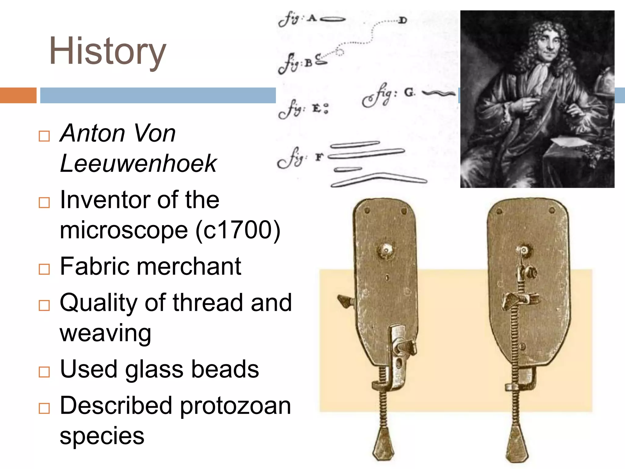 History

   Anton Von
    Leeuwenhoek
   Inventor of the
    microscope (c1700)
   Fabric merchant
   Quality of thread and
    weaving
   Used glass beads
   Described protozoan
    species
 