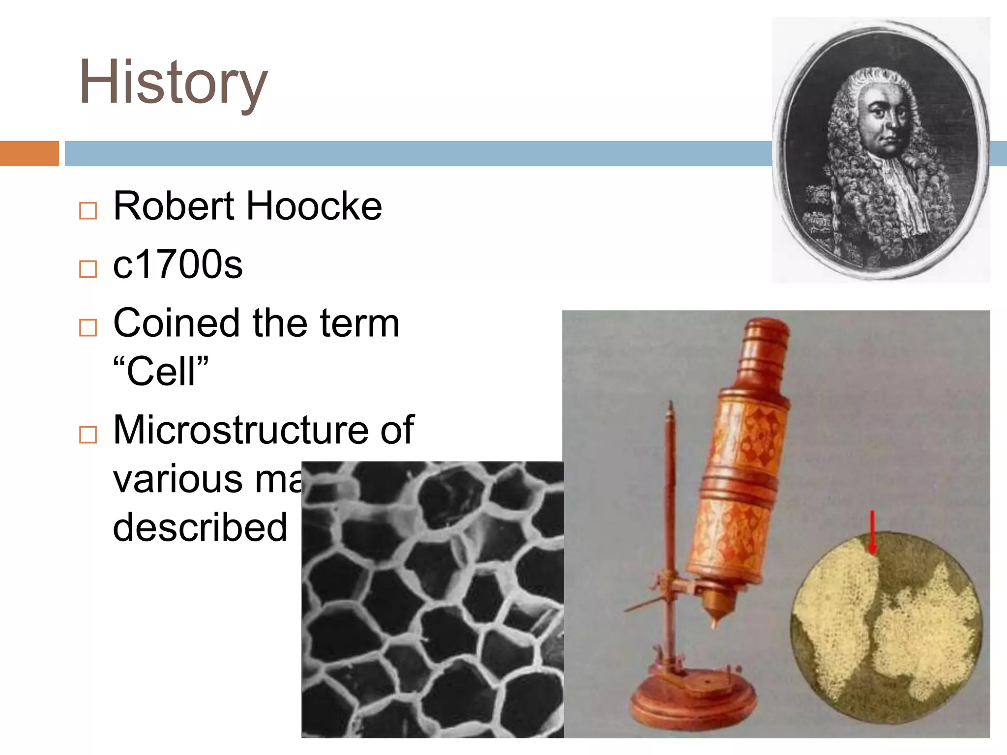 History
   Robert Hoocke
   c1700s
   Coined the term
    “Cell”
   Microstructure of
    various material
    described
 
