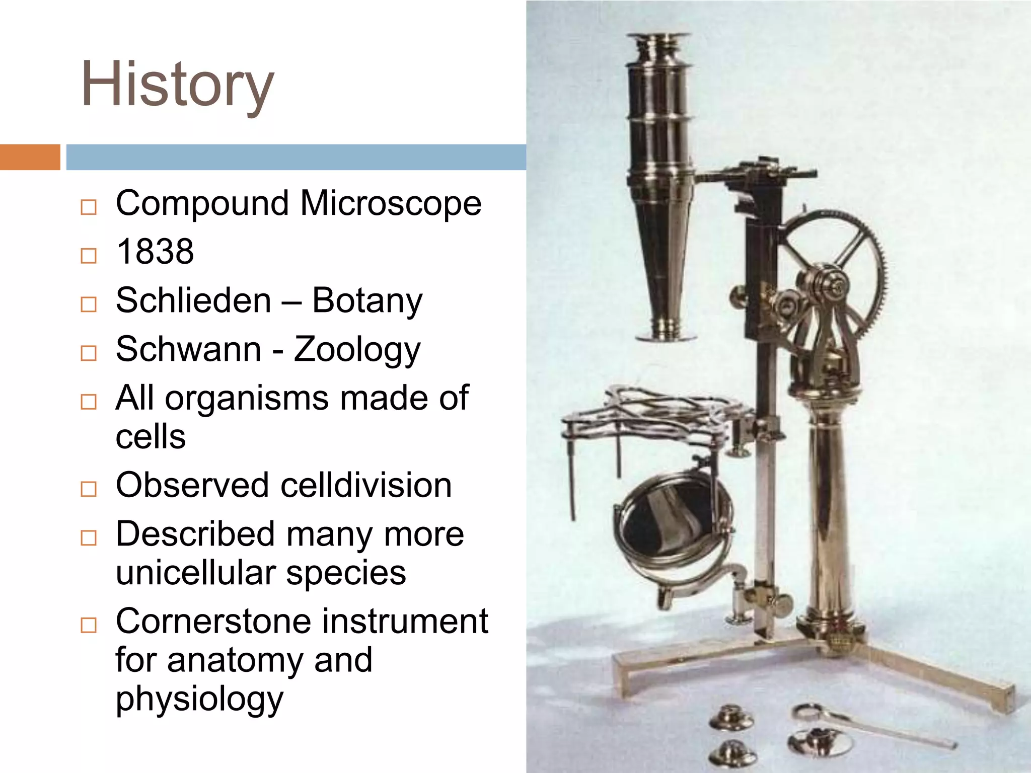 History
   Compound Microscope
   1838
   Schlieden – Botany
   Schwann - Zoology
   All organisms made of
    cells
   Observed celldivision
   Described many more
    unicellular species
   Cornerstone instrument
    for anatomy and
    physiology
 